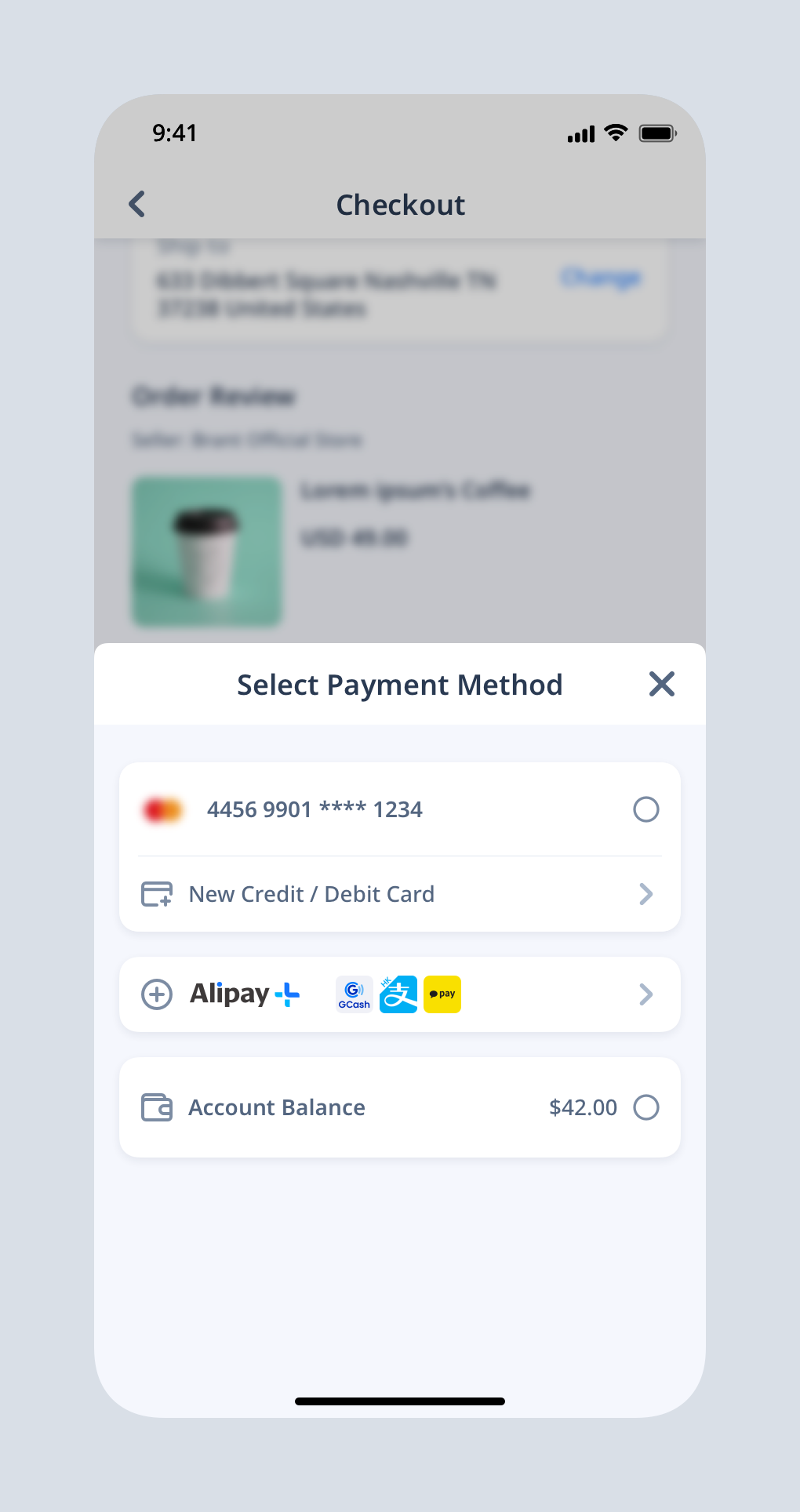 Brand Display Guidelines for Auto Debit | Alipay+ Brand Guidelines ...