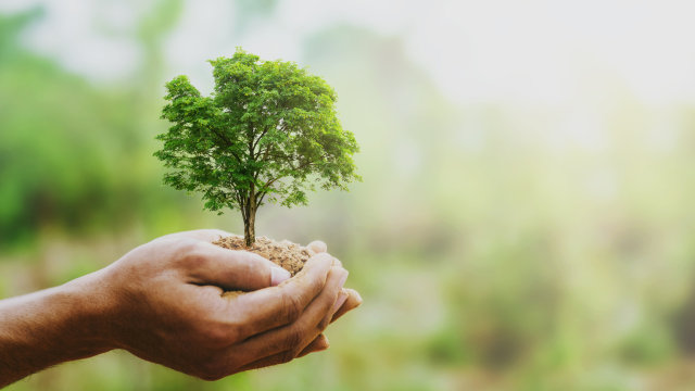 How does Ant International Build Inclusive Growth through its Sustainability Framework?